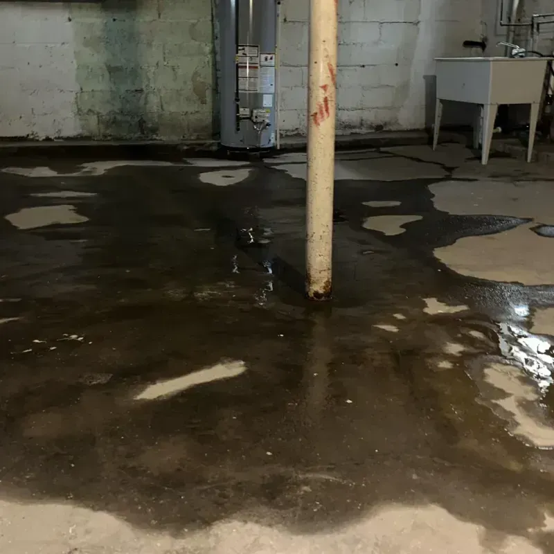 Emergency Water Extraction And Removal in Rockwell, IA